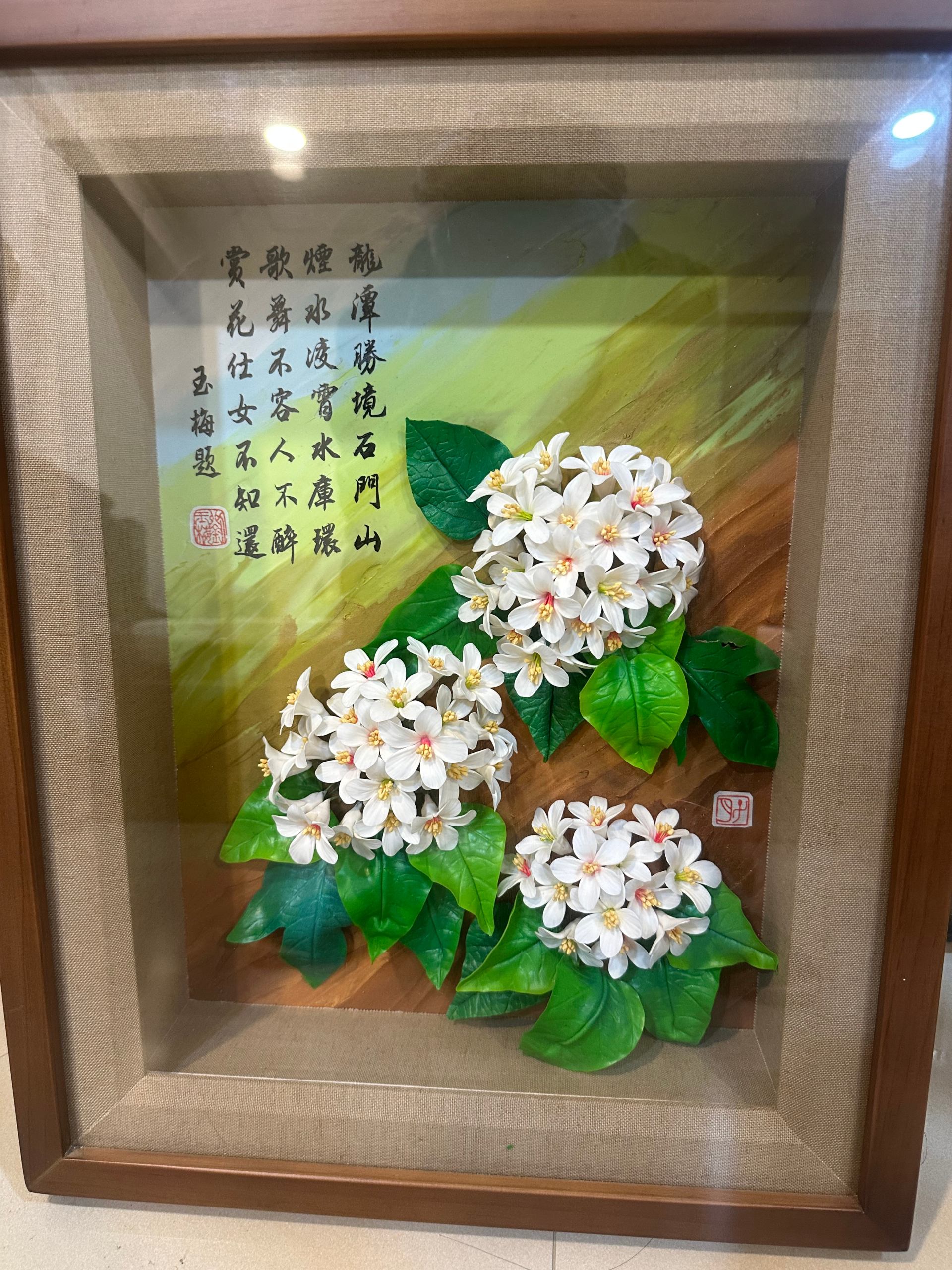 雪露凝香油桐花